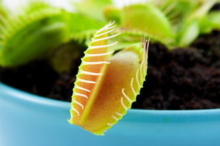 Alcohol Addiction Alcohol Effects and drinking too much